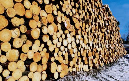 Правові засади реалізації деревини на Українській універсальній біржі